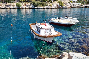 Boats Image